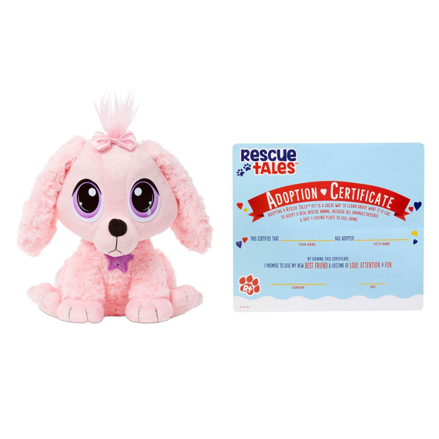 Rescue Tales Adoptable Pets - Poodle with adoption certificate